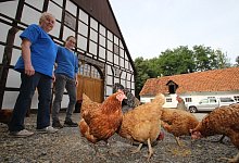 IMG_8636 - Jens Rademacher