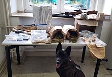 Sp&uuml;rhund Cash erschn&uuml;ffelte Drogen - Polizeipr&auml;sidium Recklinghausen/dpa