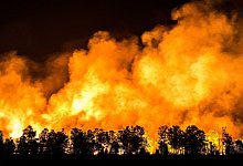 Waldbrand - Foto: Rob Engelaar/ANP/dpa