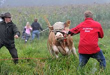 Yvonne - Andreas Gebert/dpa