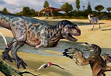Eine undatierte Zeichnung einer bislang unbekannten Dinosaurier-Art (l.), die im S&uuml;den von Argentinien entdeckt wurde. - ---/telam/dpa