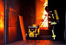 KI-Roboter soll Waldbrände löschen - Frank Molter/dpa