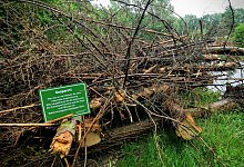 p1270689 (1) - Jost Wolf