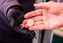 Nach Einsch&auml;tzung von Volkswirten d&uuml;rften alle &auml;rmer aus der Krise kommen. - Christoph Soeder/dpa