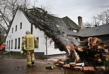 Entwurzelter Baum - Foto: David Young/dpa /dpa