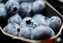 Frische Heidelbeeren halten sich bis zu zwei Wochen im Kühlschrank. Eingefroren können sie rund ein Jahr gelagert werden. - Robert Günther/dpa-tmn