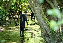 Suche - 1 - Freitag TV