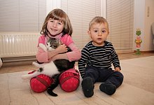 Verlorene Katze - Marlen Grote