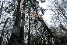 Friederike - Christian Mathiesen