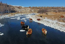 Halha Fluss - Zou Yu/XinHua/dpa