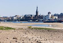 Trockenheit am Rhein - Rolf Vennenbernd/dpa
