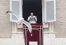 Papst Franziskus - Gregorio Borgia/AP/dpa/Archivbild