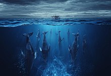 &laquo;Der Schwarm&raquo; - Staudinger + Franke/ZDF/dpa