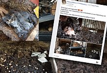 Schreckliche Bilder - Grafik: Maren Brettmeier (Quelle: facebook)