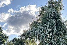 img_0305 - 1 - 1 - Nicole Heithecker