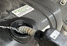 img_e0538 - 1 - Stadt Detmold