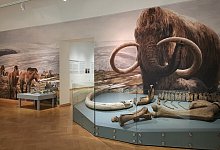 spannende-reise-durch-jahrtausende - Lippisches Landesmuseum