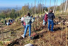 Schulwald Karla-Raveh-Gesamtschule - Karla-Raveh-Gesamtschule