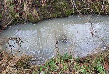 20250125-wa0013 - Lippischer Fischereiverein