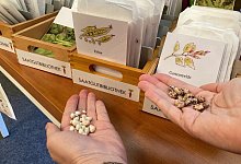 pm_saatgutbibliothek1 - Stadt Detmold