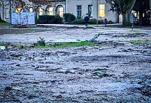 Grünflächen - Raphael Bartling