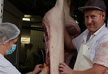Fleischkontrolleurin Evelyn Barthel (l.) nimmt eine Probe von einem Schwein, das Fleischermeister Daniel Beier und seine Mitarbeiter gerade geschlachtet und zerlegt haben. Das Tier hatte einen schnellen Tod und einen kurzen Anfahrtsweg. - Ivonne Michel