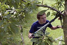 Bypass oder Amboss? - Foto: selbst ist der&nbsp;Mann/dpa