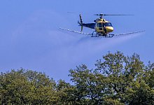 Helikopter mit Insektizid - Foto: Jens B&uuml;ttner/dpa-Zentralbild/dpa