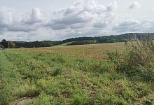 img_20250922_132145 - 1 - 1 - Sylvia Frevert