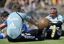 Felix Magath - picture alliance / dpa