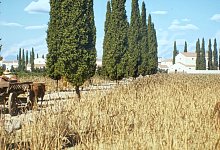 Römisches Straßennetz war weit größer als gedacht - -/tiner-e, Artas Media, MINERVA/dpa