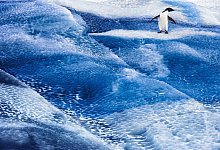 Eisiger Kontinent in Gefahr - John B. Weller/dpa