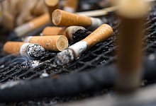 Kippen auf einem Rost - Andrea Warnecke/dpa-tmn