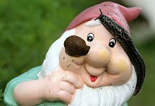 Zwei Nacktschnecken kriechen &uuml;ber einen Gartenzwerg - David-Wolfgang Ebener/dpa