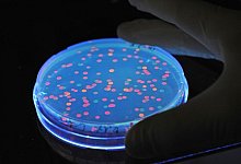 Vertrauen in Wissenschaft - picture alliance / dpa