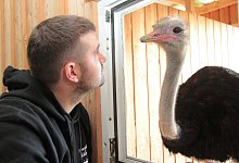 Nils M&ouml;ller und Manni - Karolina Schmidt