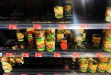 Menschen und Hamstern - Foto: Paul Zinken/dpa