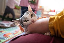 Frischer Zeckenschutz kann Risiken f&uuml;r Menschen bergen - Foto: Sebastian Gollnow/dpa/dpa-tmn
