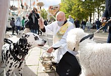 Tiersegnung im Bistum Osnabr&uuml;ck - Foto: Friso Gentsch/dpa