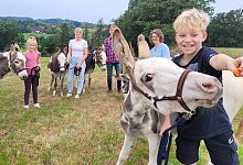 esel - Katrin Kantelberg