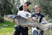 Raubfisch ist 1,74 Meter lang - Spenge
