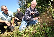 Wildbienen Dorfteich Schwelentrup - Jens Rademacher