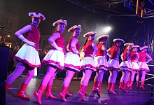 Narrenfreiheit - Sandra Castrup