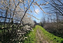 Fr&uuml;hlung - Kirsten Fuhrmann