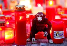 Nach dem Brand im Krefelder Zoo - Foto: Roland Weihrauch/dpa/Archivbild