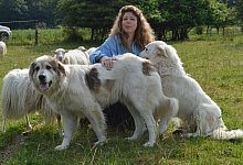 Bitte Abstand halten - FOTO: PRIVAT