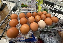 Hohe Eierpreise in den USA - Robert F. Bukaty/AP/dpa