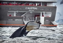 Auf Expedition mit Ponant - Foto: Lorraine Turci/Ponant/dpa