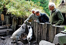 Neugierig - Gunter Held