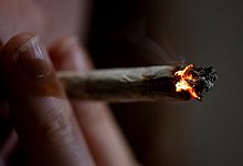 Cannabis - Fabian Sommer/dpa